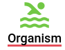 image-1690128380323.png
